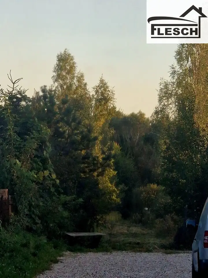 Zdjęcie 5