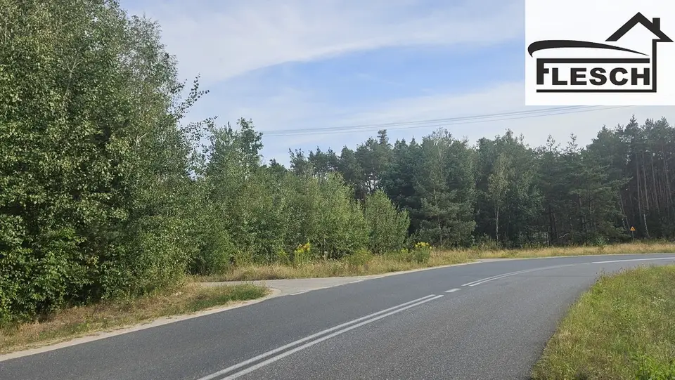 Zdjęcie 2