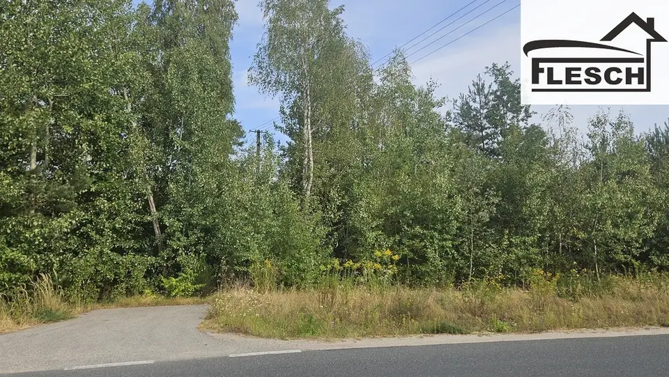 Zdjęcie 3