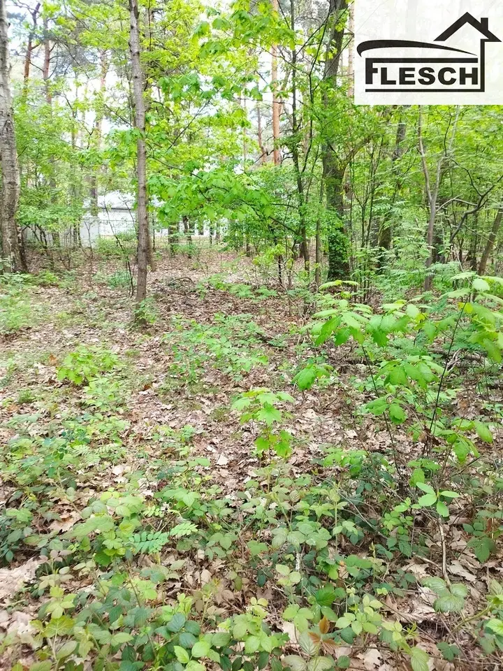 Działka leśna 2 100 m², Sękocin-Las