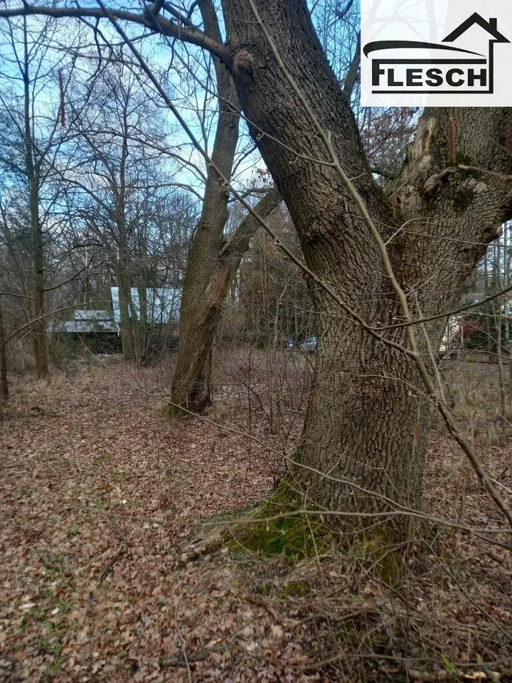 Zdjęcie 4