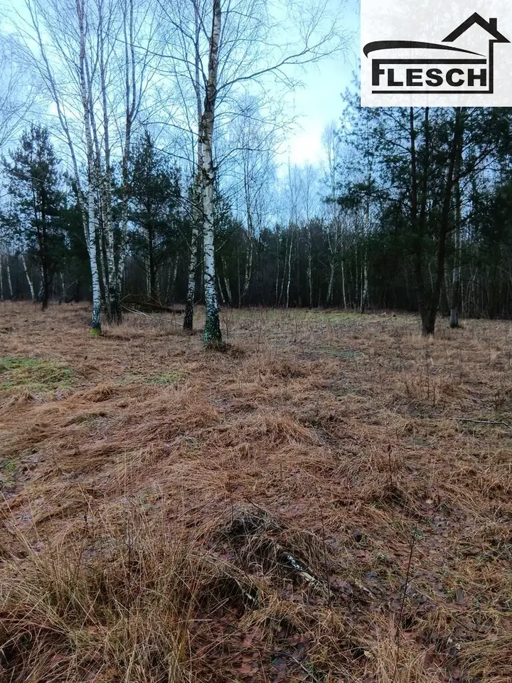 Zdjęcie 5
