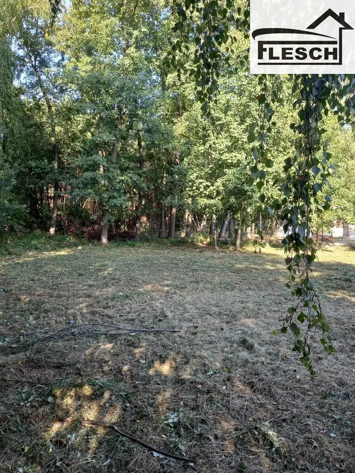 Zdjęcie 3