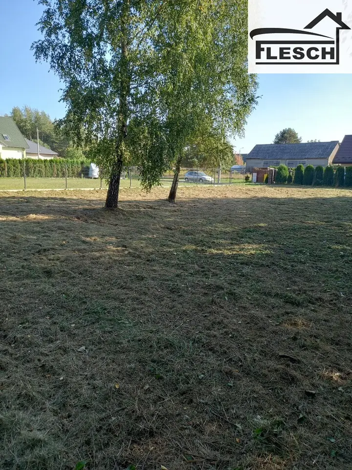 Zdjęcie 5