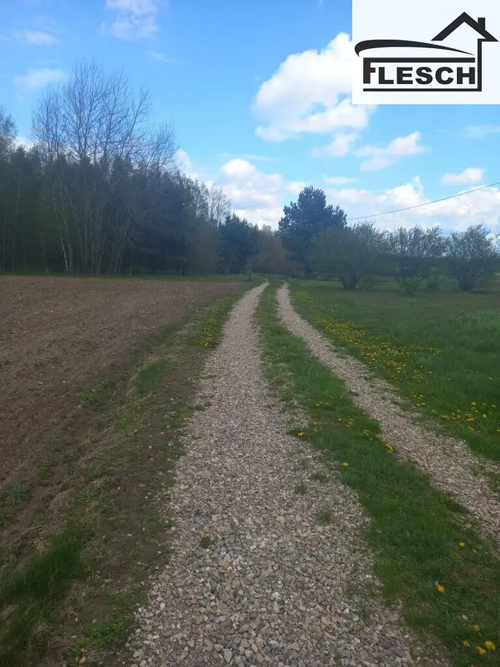 Zdjęcie 18