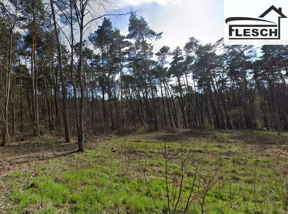 Działka leśna 2 100 m², Otrębusy