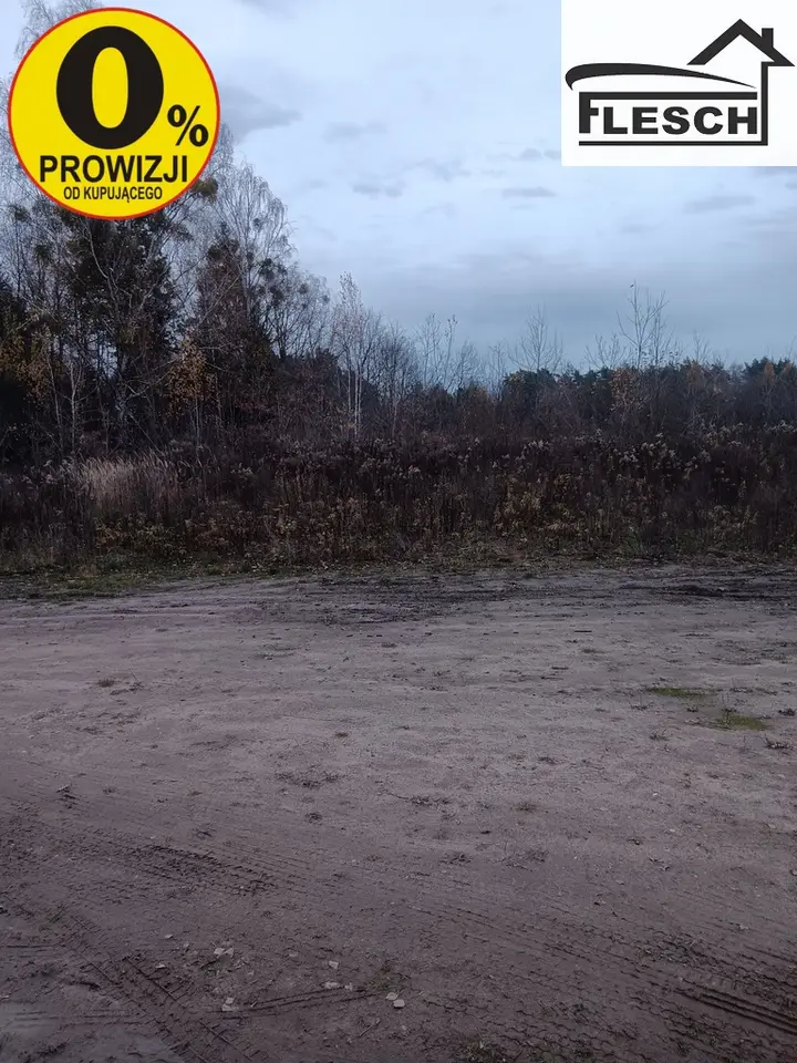 Zdjęcie 3