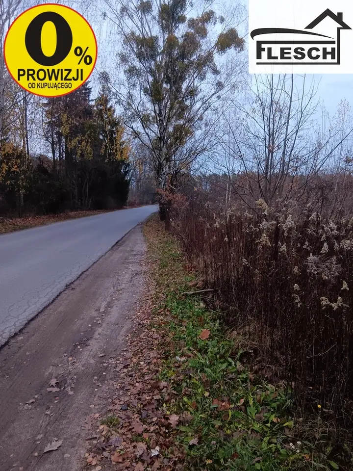 Zdjęcie 5