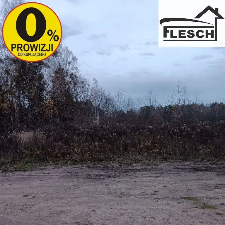 Zdjęcie 2