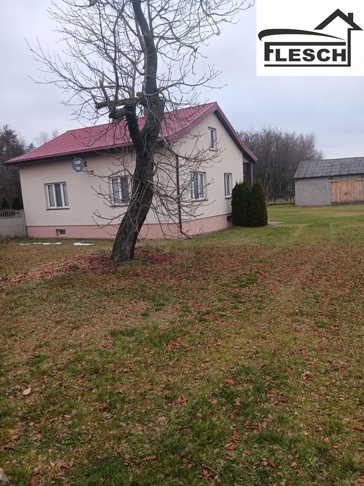 Zdjęcie 2