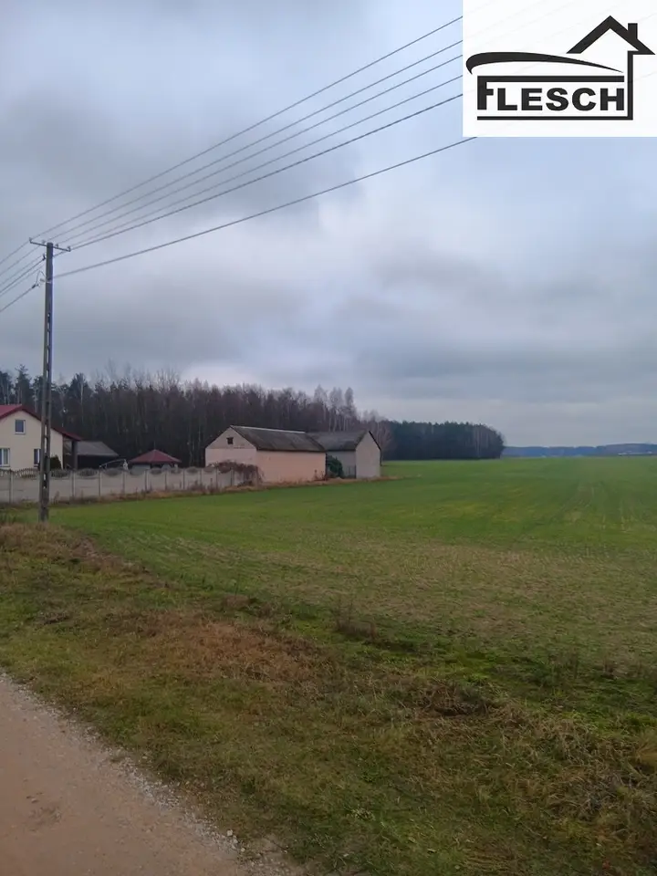 Zdjęcie 9
