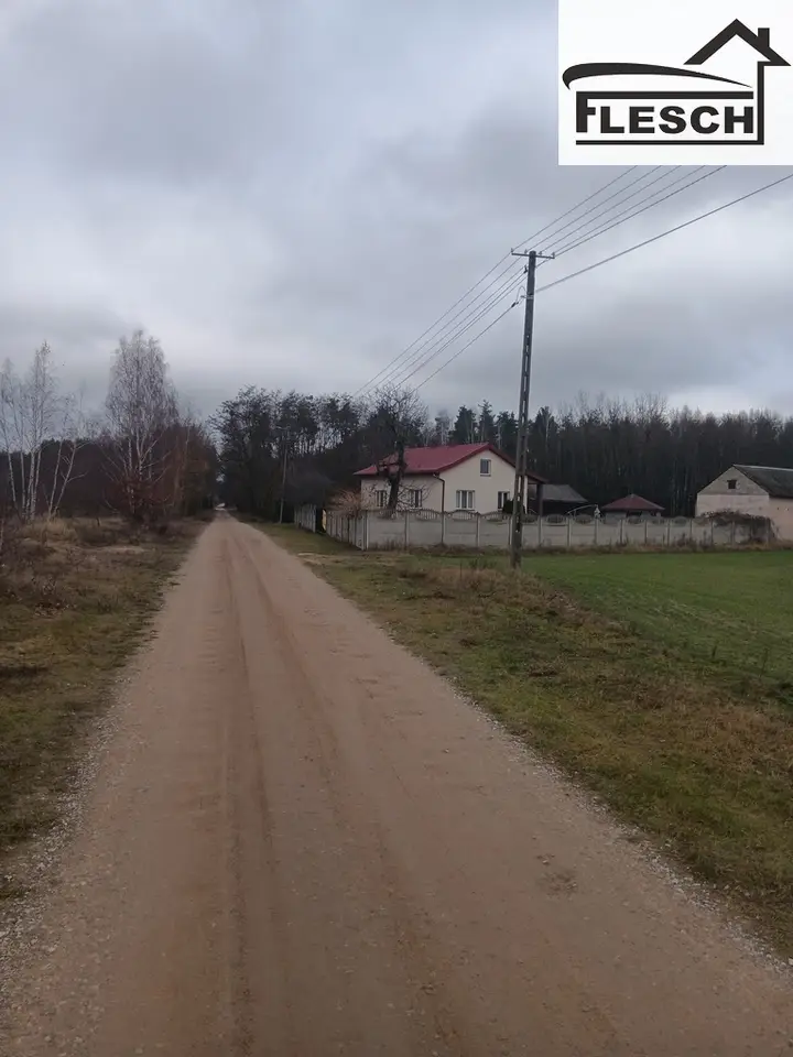 Zdjęcie 10