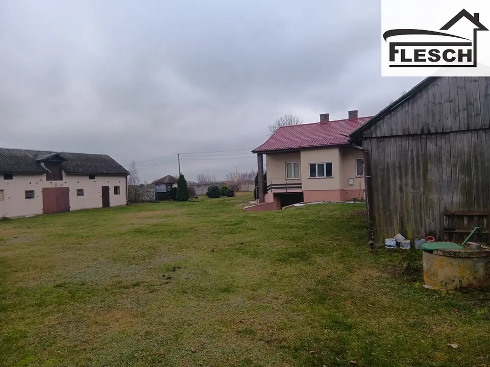 Zdjęcie 11