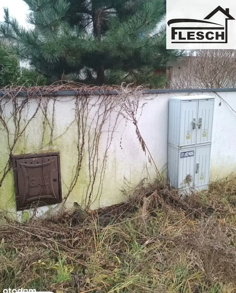 Zdjęcie 5