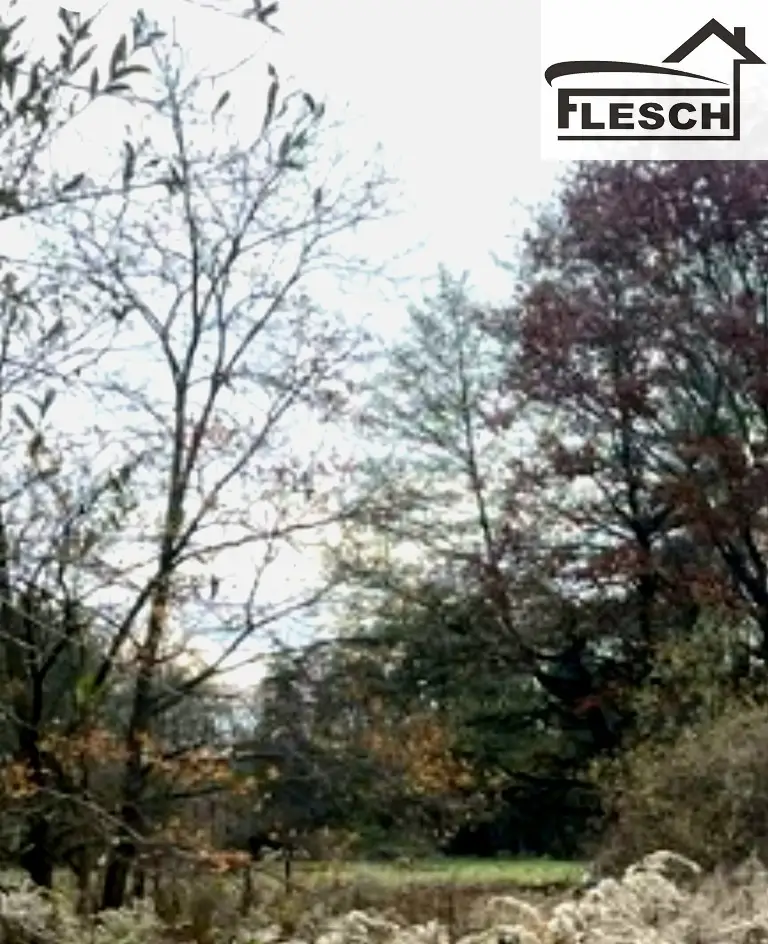 Zdjęcie 6