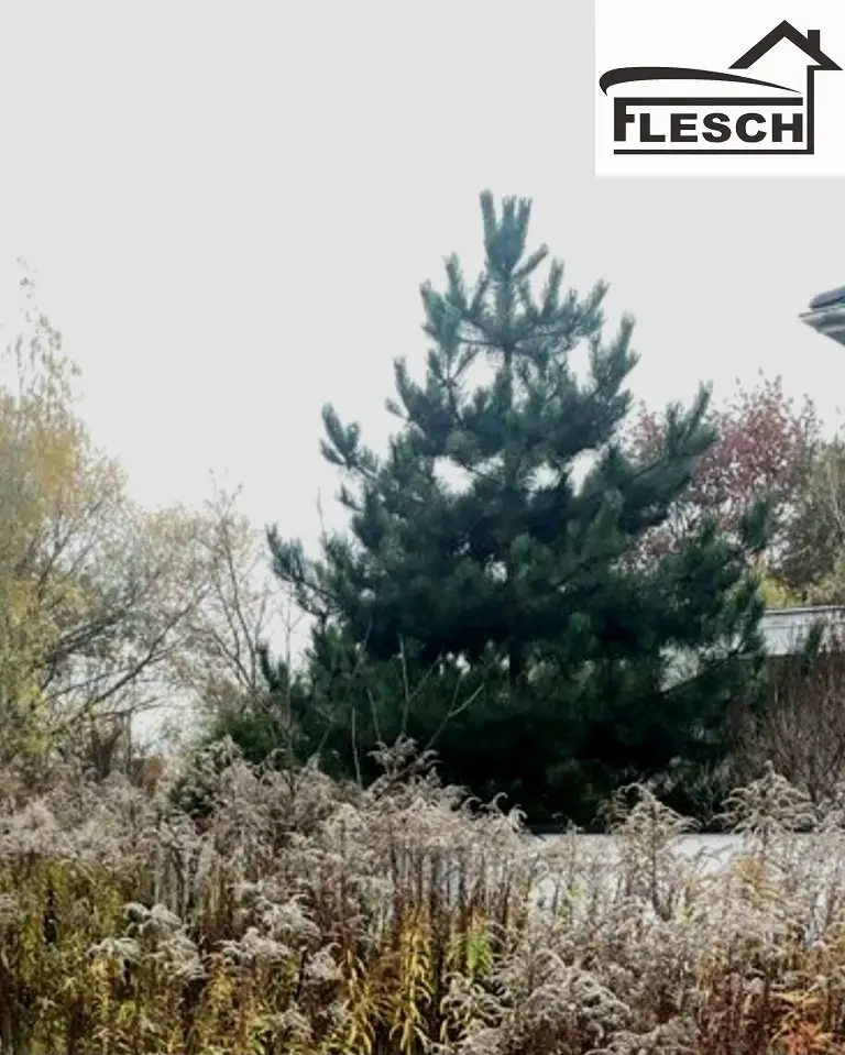 Zdjęcie 7