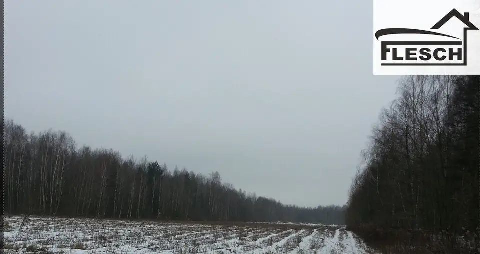 Zdjęcie 2