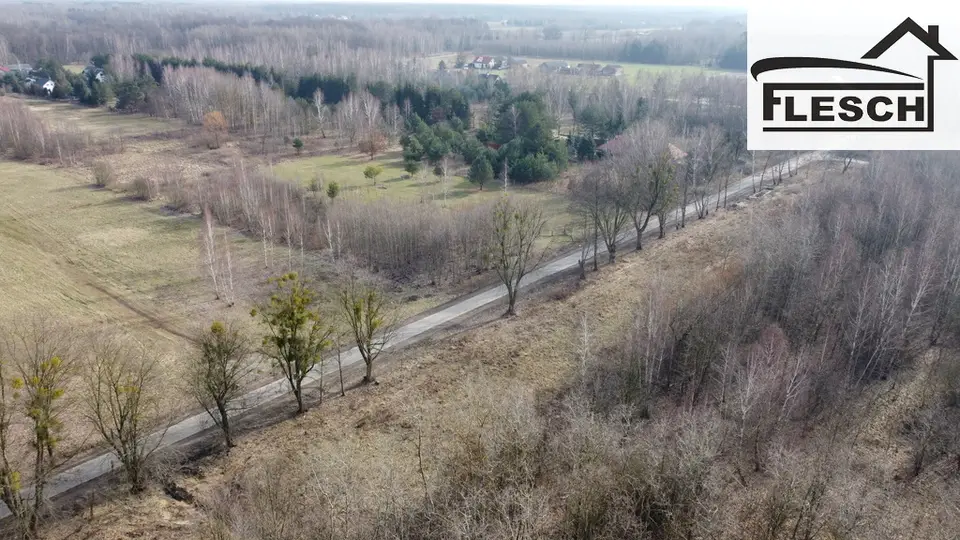 Zdjęcie 6