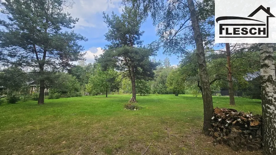 Zdjęcie 3