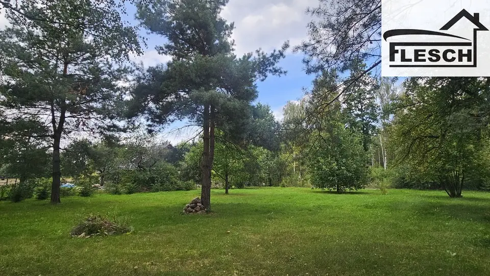 Zdjęcie 8
