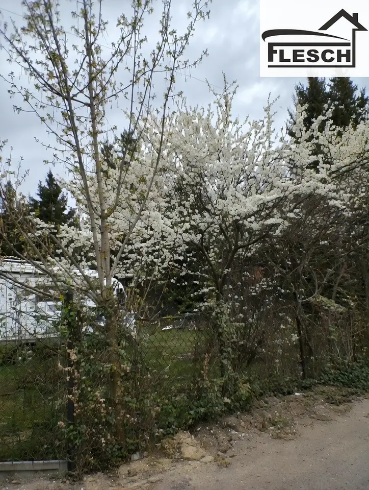 Zdjęcie 5