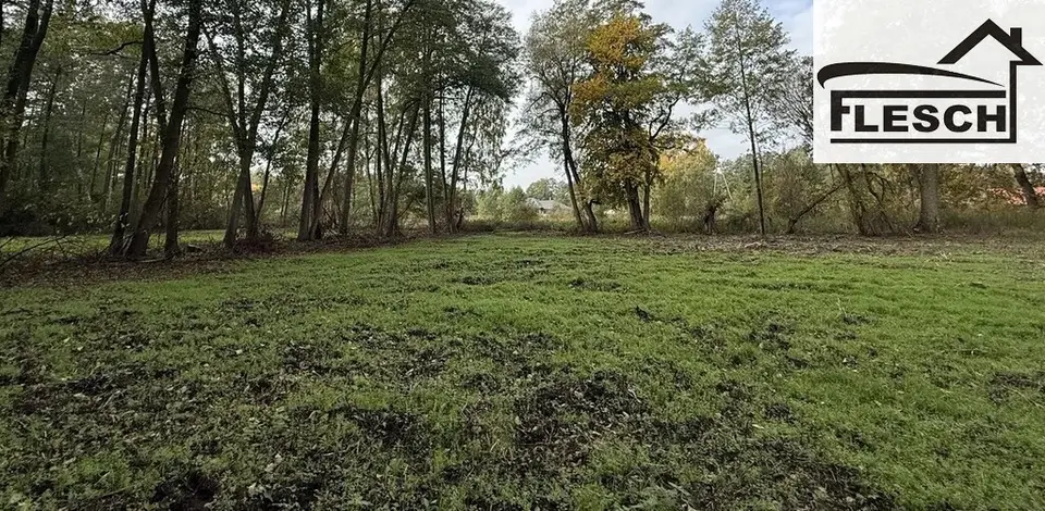 Zdjęcie 4