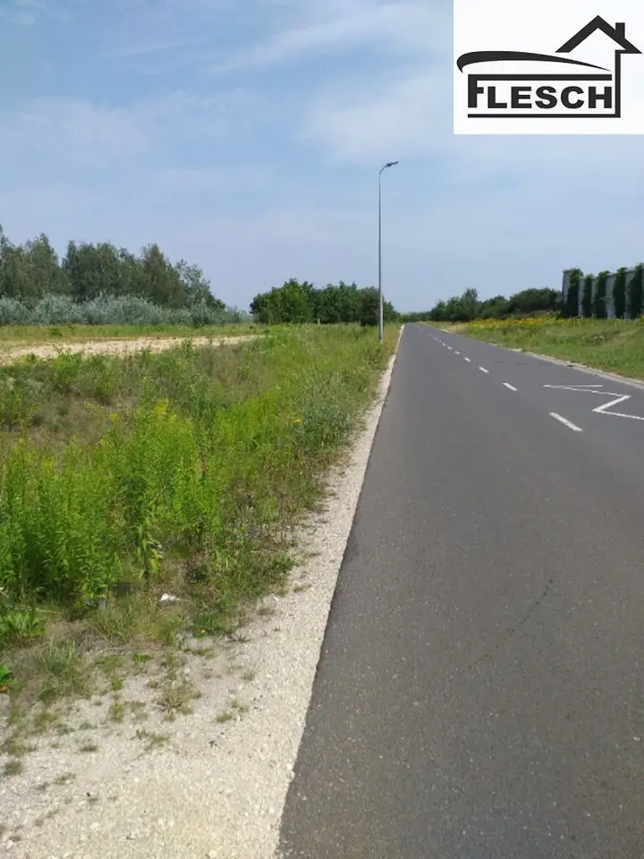 Zdjęcie 2