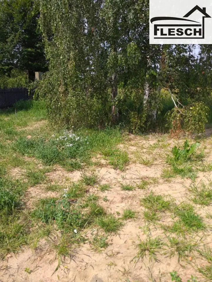 Zdjęcie 8