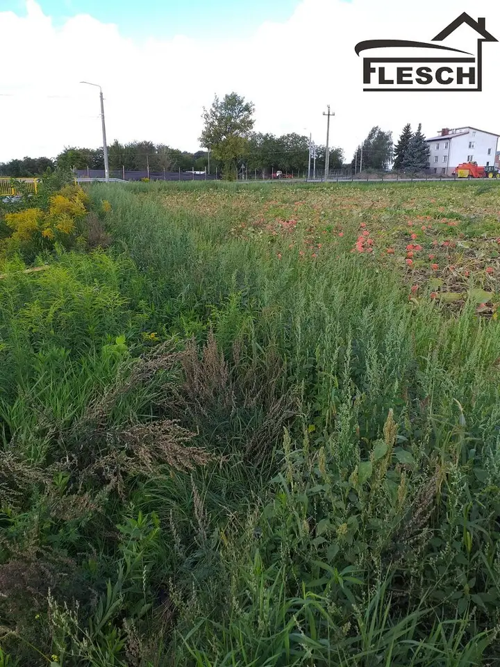 Działka budowlana 750 m², Pogroszew-Kolonia