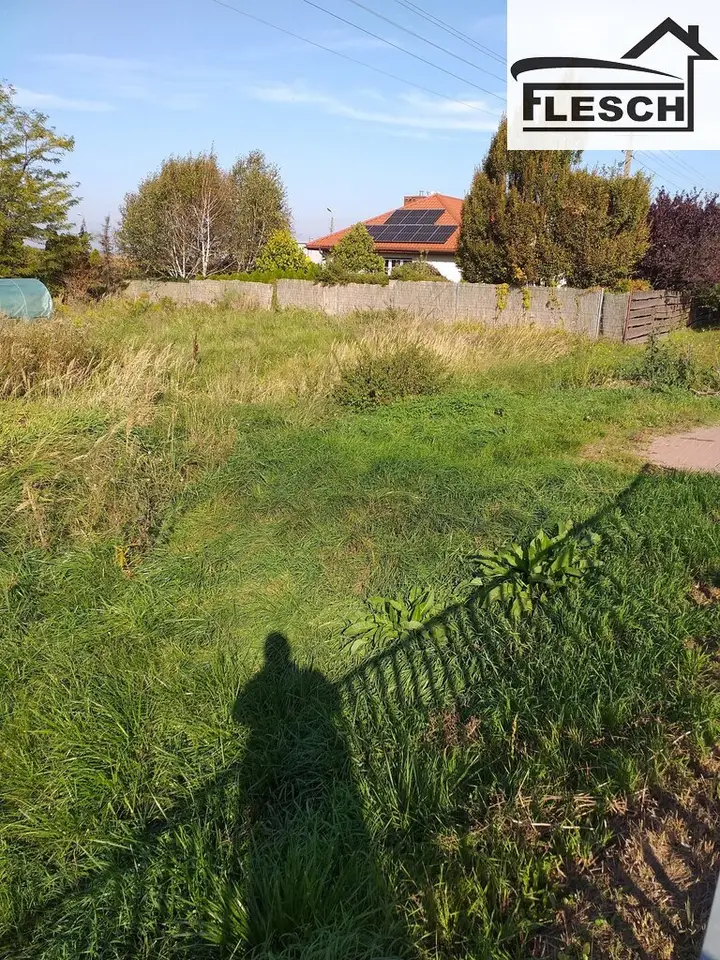 Zdjęcie 2