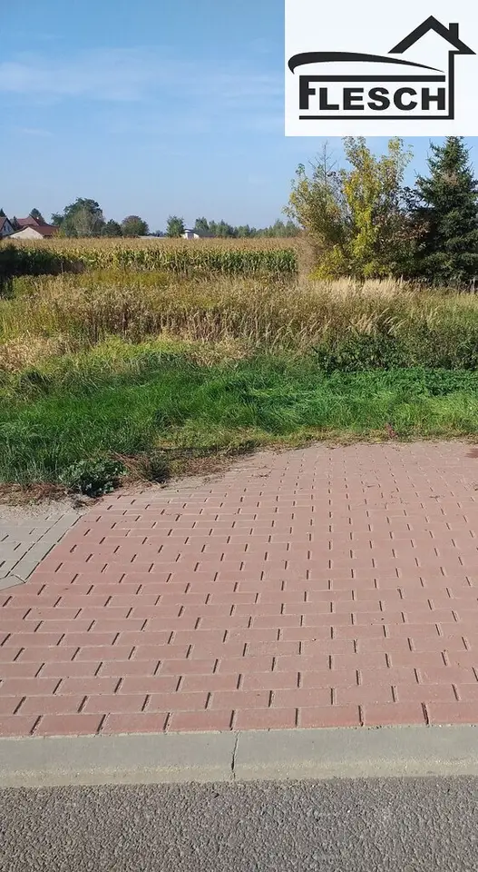 Zdjęcie 5