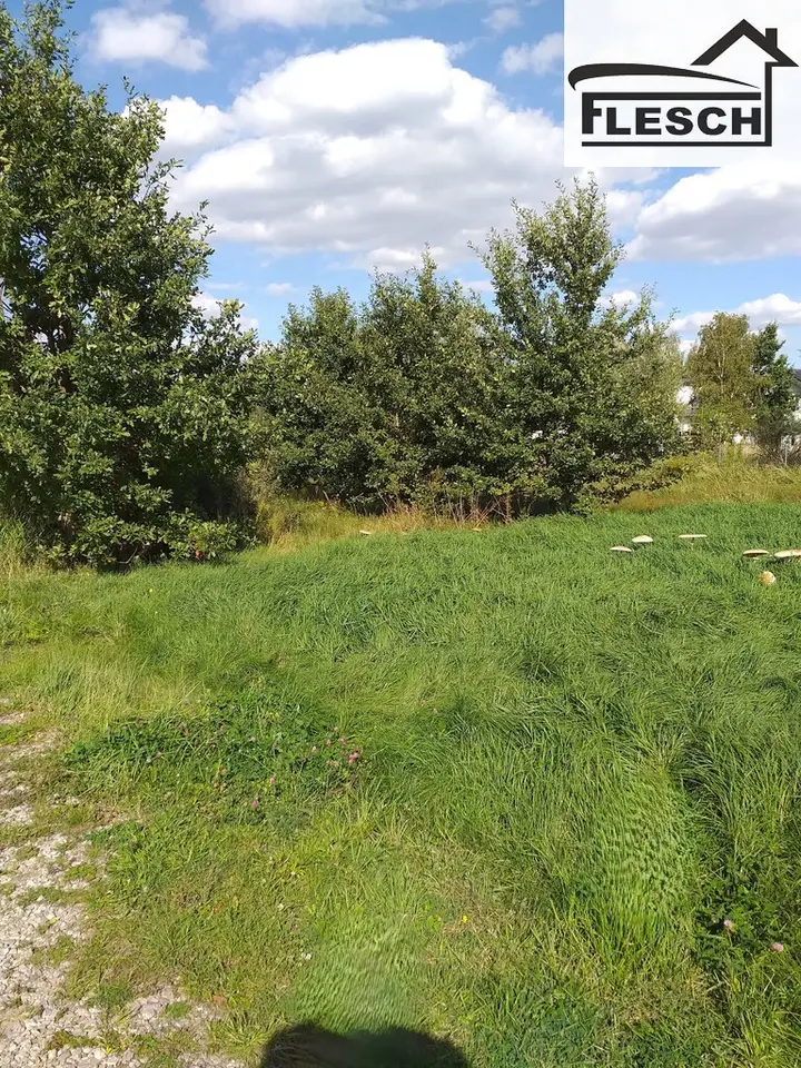 Działka budowlana 1 700 m², Żółwin