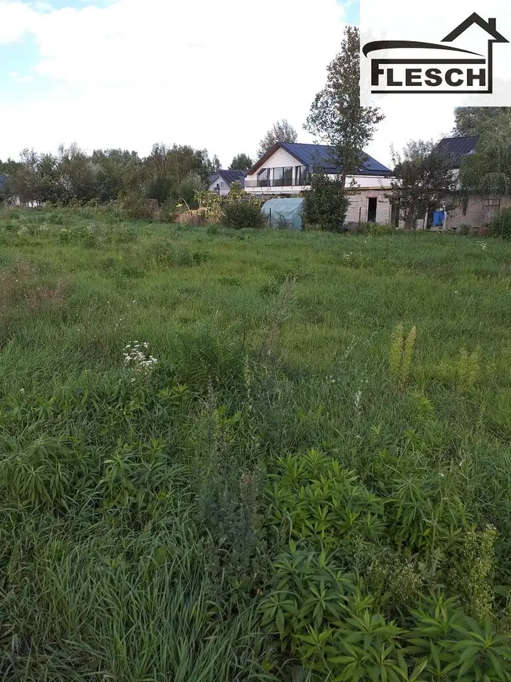Zdjęcie 8