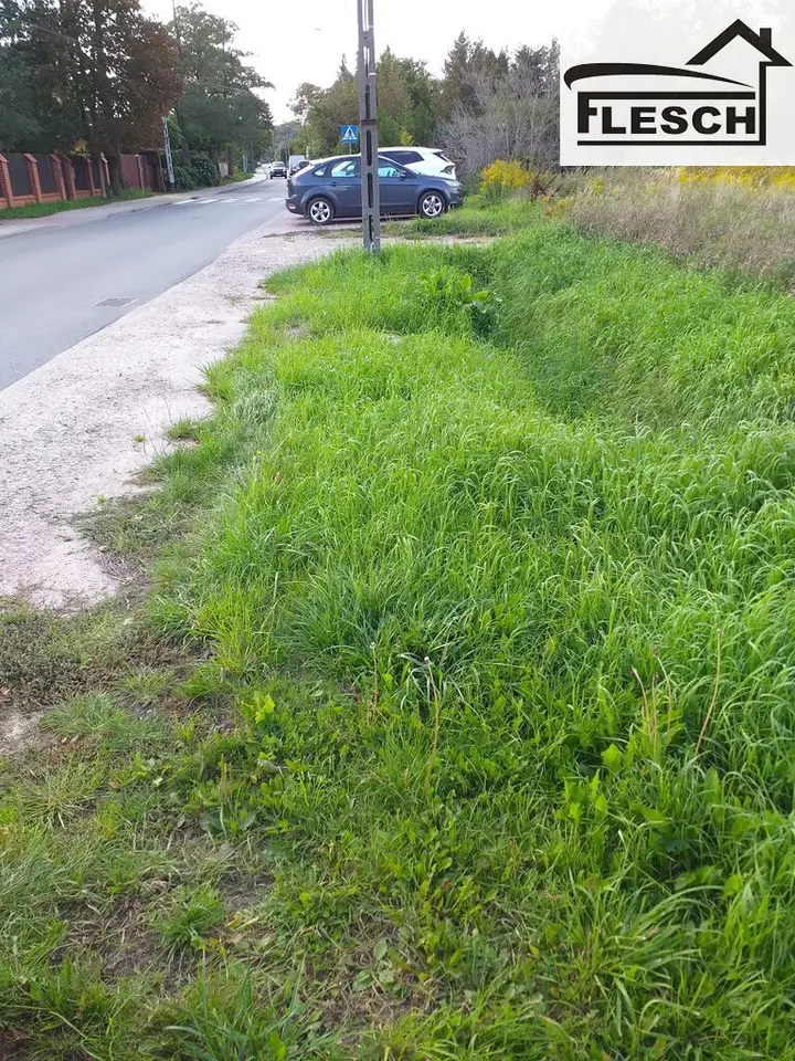 Zdjęcie 11