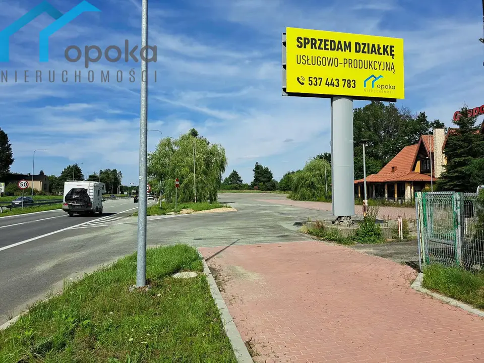 Zdjęcie 6