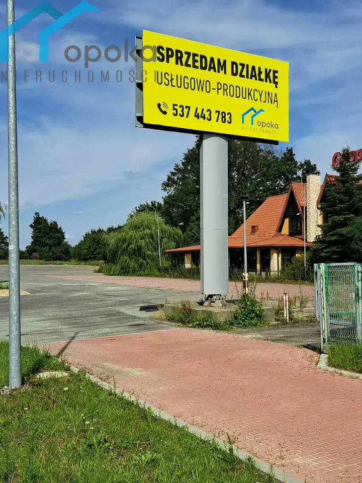 Zdjęcie 12