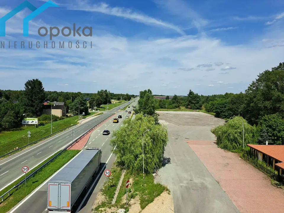 Zdjęcie 13