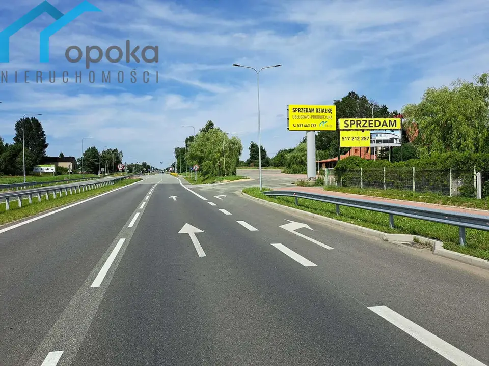 Zdjęcie 14