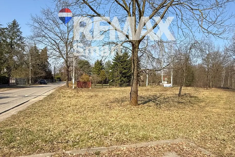 Zdjęcie 12