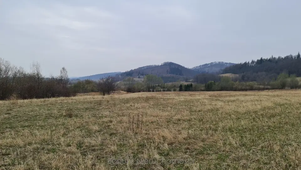 Działka budowlana i inwestycyjna 1 666 m², Srebrna Góra