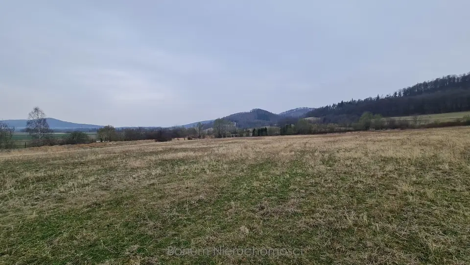 Zdjęcie 3