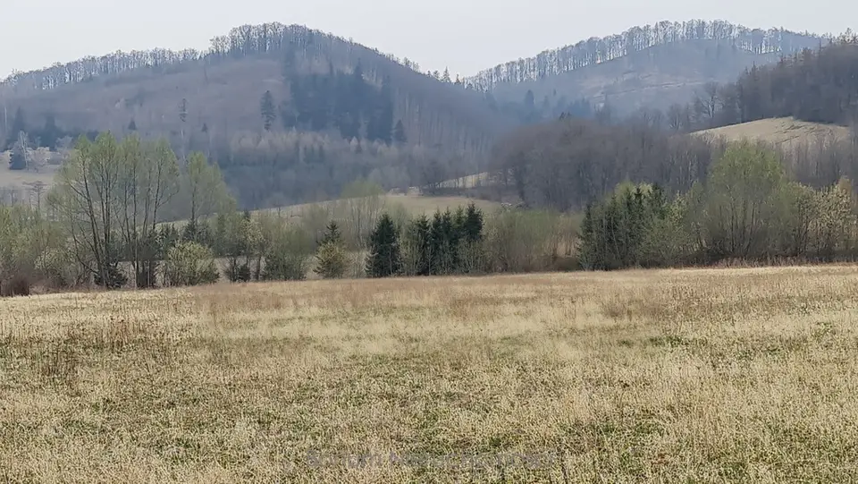 Zdjęcie 4