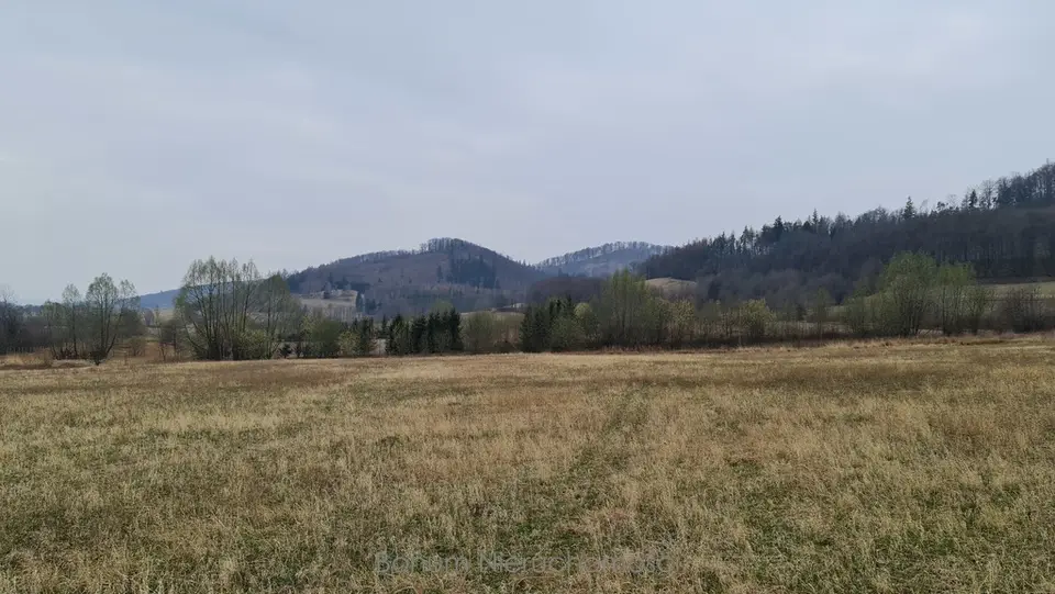 Zdjęcie 5