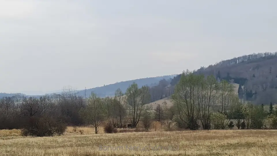 Zdjęcie 6