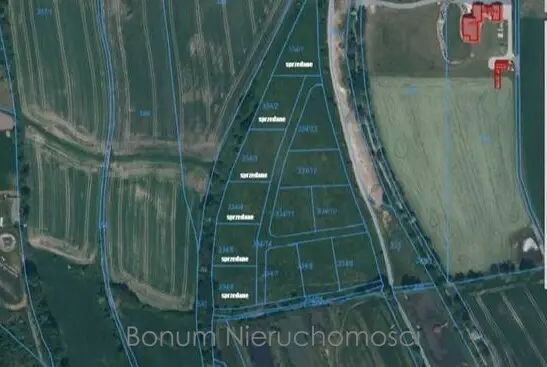 Zdjęcie 7