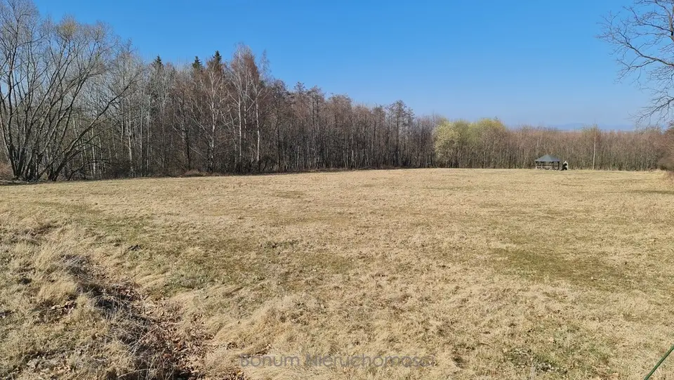 Zdjęcie 2