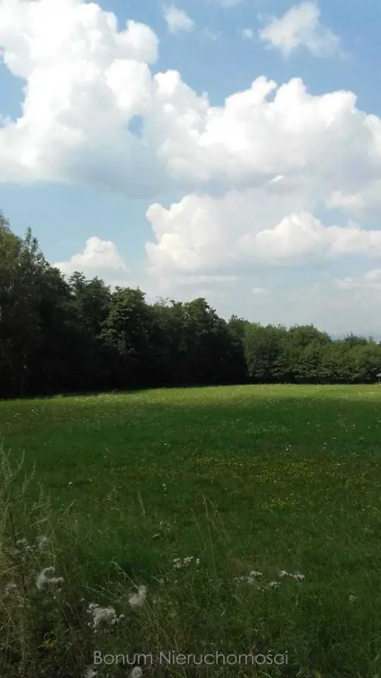 Zdjęcie 5