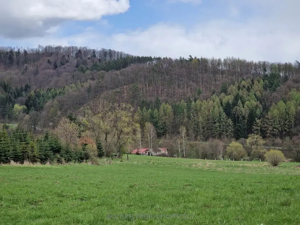 Zdjęcie 3