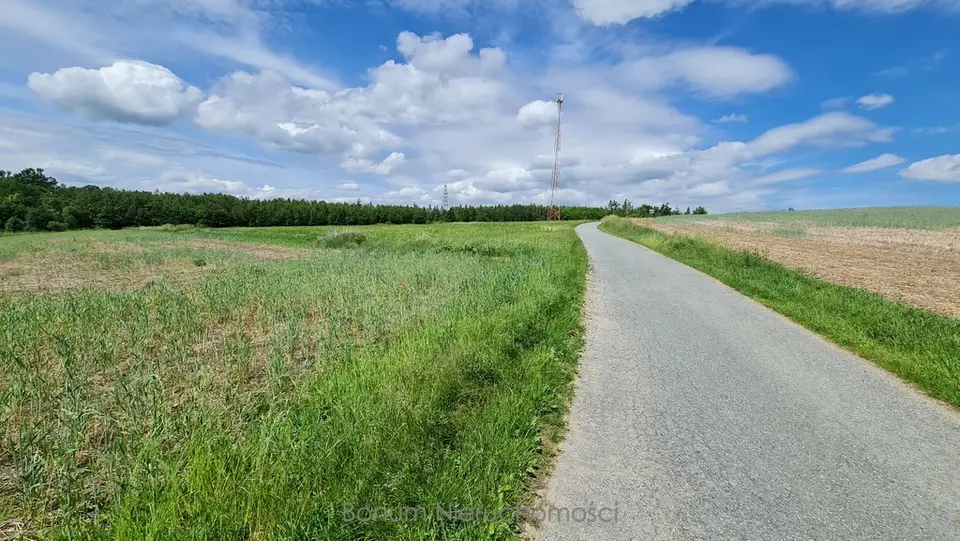 Działka budowlana 1,92 ha, Dębowina
