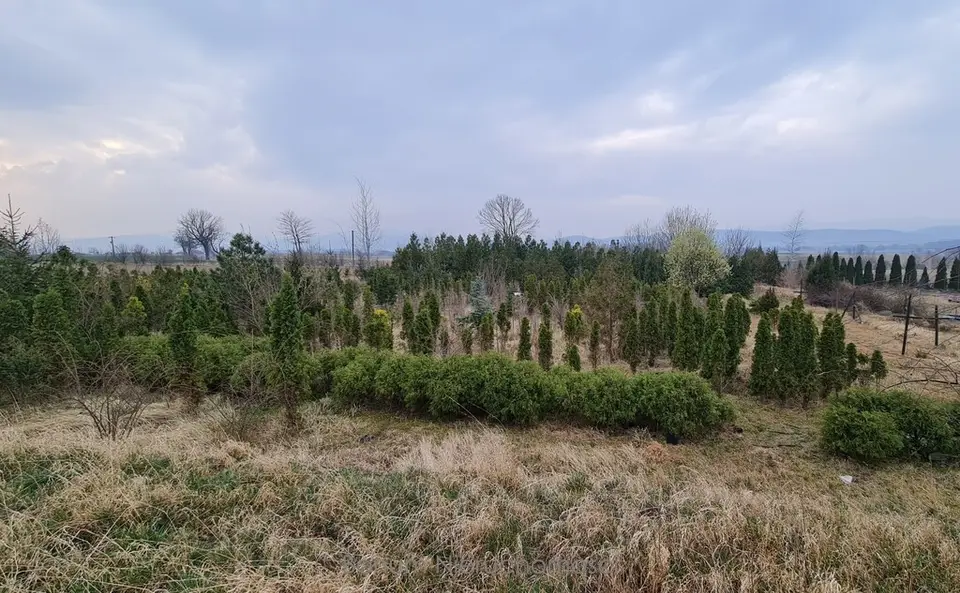 Działka inwestycyjna 1,1 ha, Sosnowa